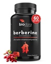 Berberine Advanced Plus with 1200mg Berberine - 100mg Ceylon Cinnamon and 100mg Green Tea Extract - 1400mg Per Dose -120 Capsules - 60 Day Supply - Supports Immune and Cardiovascular