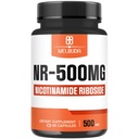 WELBUDA NAD+ Supplement with Nicotinamide Riboside 500mg - Cellular Energy & Repair, Healthy Aging, Wellness - 90 Capsules - 3 Month Supply