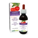 Naturalma Acerola (Malpighia glabra) Fruit Alcohol-Free Tincture - Rich in Vitamin C - 4 fl oz Liquid Extract in Drops - Herbal Supplement - Vegan