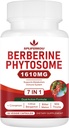 7-in-1 Berberine Phytosome mit Ceylon Cinnamon, Berberine Complex unterstützt Stoffwechsel, Leberfunktion und Immunsystem, Non-GMO, Gluten-Free - 60 Kapseln