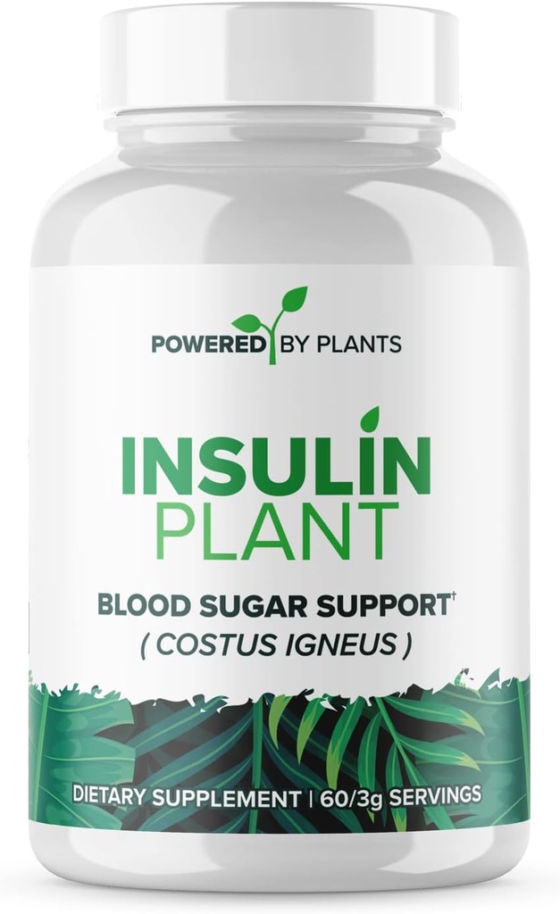 Insulin Plant капсули - 3000mg Coustus Igneus Leaf Powder with No Binkers, Fillers & Gluten - Vegan, Non ГМО Добавки за жени и мъже от Powered X Растения, 240 капсули