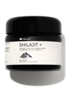 Blisque – Pure Himalayan Organic Shilajit Resin Supplement | Authentic and Natural | Golden Grade A | Contains Fulvic Acid and Trace Minerals | 60 Grams