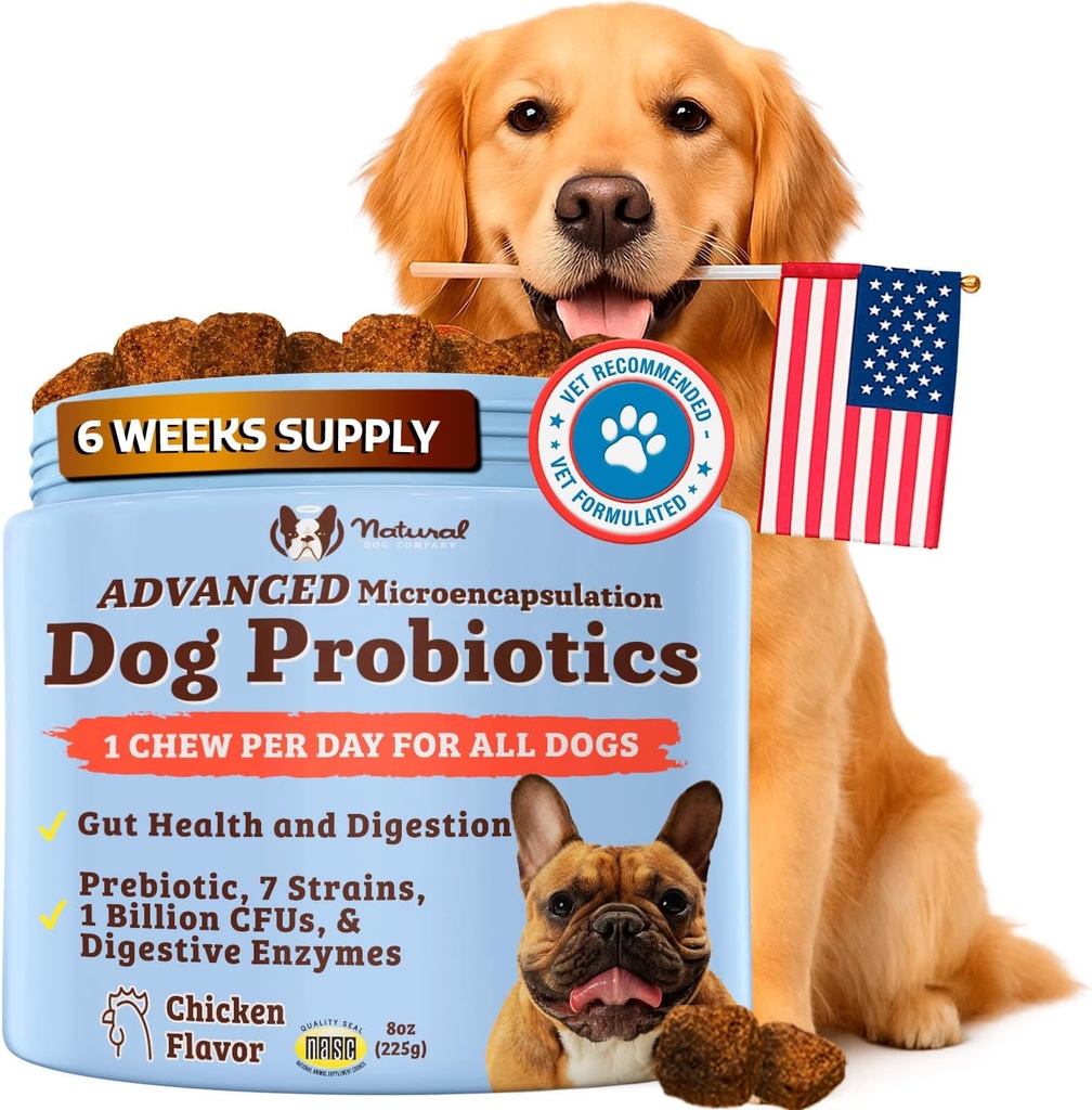 חברת הכלב הטבעי Gut Health & Canine Specific Probiotics Chews, 1 Daily Chew for All Dogs, Prebiotics & Digestive Enzymes for Digest, Gas, Red Stool, Imm System & Bowel Support