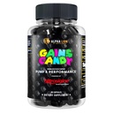 ALPHA LION Gains Candy, Supplement Pills for Muscle Pump & Blood Flow, Nitric Oxide Booster, Supports Mental Focus, Use Daily to Upgrade Workout Performance, 63 Capsules (Nitrosigine)