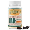 800 mg Liposomal NAD+ Supplement with Nicotinamide Riboside 200 mg, Trans-Resveratrol 100 mg - True NAD Supplement for DNA Repair, Healthy Aging, Brain Function - 60-Day Supply