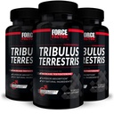 Force Factor Tribulus Terrestris for Men, 3-Pack, Tribulus Testosterone Booster for Men, Male Vitality Supplement, Tribulus Extract & Natural Ingredients for Superior Absorption, 1000mg, 180 Capsules