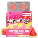 Shrumfuzed Mushroom Gummies | Nootropic Mushroom Supplement with Lion's Mane, Reishi, Cordyceps & Chaga | 4 Count, Watermelon