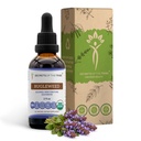 Bugleweed USDA Organic | Alcohol-FREE Extract, High-Potency Herbal Drops, Respiratory System | Made from 100% Certified Organic Bugleweed (Ze Lan, Lycopus Virginicus) Dried Herb (2 FL OZ)