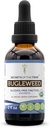 Bugleweed USDA Organik 124; Alkohol- Ekstrak FREE, Tinggi Potency Herbal Drops, Respiratory System 124; Dibuat dari 100% Certified Organic Bugleweed (Ze Lan, Lycopus Virginicus) Fried Herb (2 FL OZ)