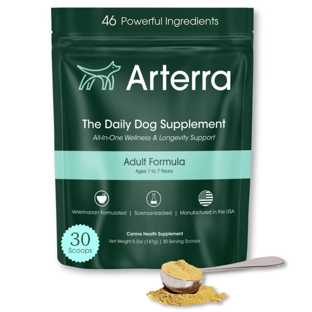 Adult Dog Powder Supplement & Food Topper - 46 Ingredients - 30 Scoops | For Gut, Immune & Brain Health, Daily Longevity Multivitamin for Whole Body Wellness