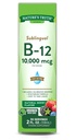 Nature's Truth Sublingual Vitamin B-12 10,000 Mcg, Fast Acting Liquid, Natural Berry Flavor, 2 Fluid Ounce (Pack of 1)