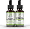 Benevolent Chlorophyll Liquid Drops + Irish Sea Moss Drops 2oz, 4 개월 공급 내부 탈취제 및 레이디언트 피부를위한 액체 클로로필 보충