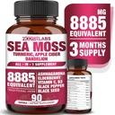 All-in-1 8885mg Highest Potency Sea Moss, Black Seed, Ashwagandha, Turmeric, Apple Cider Vinegar, Dandelion with Elderberry, C & D3 - Immune, Energy Support Supplement - 90 Vegan Capsules
