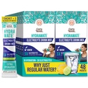 GuruNanda Hydramate Hydration Support Drink Mix - Electrolyte Powder Packets for Dehydration, Exercise & Energy - No Added Sweeteners, Non-GMO, Natural Lemon Lime Flavor - 48 Count (0.56 oz Each)