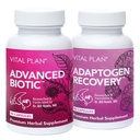 Vital Plan Immune Support Supplements by Dr. Bill Rawls – Immune Boost Bundle w/Japanese Knotweed, Cat’s Claw, Chinese Skullcap & Reishi Mushroom