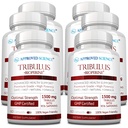 Approved Science Tribulus Terrestris - 360 Capsules - Boosts Testosterone, Enhances Athletic Performance, Supports Muscle Growth and Repair - 95% Furostanol Saponins - Bioperine - Vegan - 6 Bottles