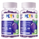 Pets Purest Glucosamine Chondroitin Gummies (2 Pack) Blueberry