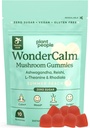 Planta Pessoas WonderCalm Gummies Cogumelo - Suplemento natural Ashwagandha para aliviar o estresse e aumentar o humor para adultos sem açúcar, Glúten ou cores artificiais, Vegan-Amigo, sabor de pêssego (tamanho experimental)