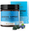 HERBAMAMA supporto surrenale Gummies - Pure Adrenal Complex Supplemento per le donne con radice di Ashwagandha, Rhodiola Rosea & Magnesium - Vegan, Non-GMO - 60 Pectin-Based Blueberry-Flavored Chews