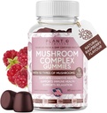 Mushroom Gummies Premium Supplemento [10 estratto complesso mushroom] Delicious & Fast Acting Lion’s Mane, Reishi, Shiitake Nootropic Brain Support, Immune Support, Mood & Relax, 60 Chews