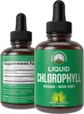Chlorophyll Liquid Drops - Ultra Yüksək qarşılıq, Alkol Pulsuz, Non-GMO, Gluten Pulsuz mayophyll Drop Supplement. Su ilə alın. Daxili Deodorant + Skin Care, Immune və Digestive Support