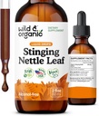 Wild & Organic Stingling Nettle Leaf Extract Drops - Urinaire Tract Ondersteuning - Liquid Stinging Nettle Supplement - Urtica Dioica Tinctuur - 2-maand levering - Vegan, Sugar & Alcohol-Free - 2 fl oz