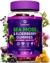 Irish Sea Moss Gummies – Bladderwrack Burdock Root Elderberry Vitamin C & Zinc – 60 Vegan Seamoss Gummy Bears for Adults Kids Men Women – Multimineral Elderberry Vitamins
