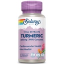 SOLARAY Turmeric Supplement 600mg - Turmeric Root with 95% Curcumin - Joint Support Supplement - Joint Health, Gallbladder and Liver Support, Non-GMO, Vegan, Gluten Free, 60-Day Guarantee, 30 Servings