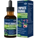 Cleavers Lymphatic Drainage Drops for Lymph System Detox Cleanse, Lymphedema Support Supplement Formula w/Echinacea, Cat’s Claw, Red Clover Extract Tincture, Use with Lymph Massage Tool. 2oz