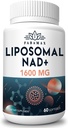 1600 mg liposomaalinen NAD-lisä, 98% puhdasta NAD+-lisäainetta, ylivertainen imeytyminen, vaihtoehto Nikotinamidi Ribosidille tai NADH: lle NAD+: lle vanhenemisen varalta, energia, pitkäikäisyys, 60 Softgelia