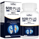 Superoxide Dismutase Supplement 500mg - SOD Plus with liposomal glutathione, AKG, Green Tea Extract, L-Arginine, Lysine, Resveratrol and Vitamin E for Immune Support, Antioxidant 60 Capsules