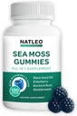 NATLEO ASV Sea Moss Gummies with Elderberry, Black Seed Oil & Dadzis Root - Vegan, no lipekļa brīva, Non-GMO, 1750mg - Supports Daily Wellness - Ražots ASV (120 Count)