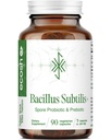 Bacillus Subtilis Spore Based Probiotic — High Potency Strain with Prebiotic for Balanced Belly | Daily Gut Health & Microbiome Support for Family | 6 Billion CFU Per Day | 90 Vegetarian Capsules