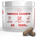 Testosterone Booster for Men with Fadogia Agrestis 1000mg Per Serving - Improve Natural Testosterone production, Increase Energy and Muscle Growth - Testosterone Supplement for Men (60 Capsules)