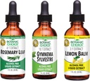 Botanic Choice Lemon Balm, Rosemary Leaf, & Gymnema Sylvestre Ekstrakter Bundle - Daglig Samlet Wellness Kit til Balanceret søvn, immunsystem Boost, bedre fokus, & forbedret Wellbeing (1 fl. Oz. Hver)