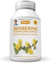 ANDREW LESSMAN Berberine Fosfolipide Complex 30 Capsules - Barberry Root Extract. Klein Makkelijk doorslikken Capsules