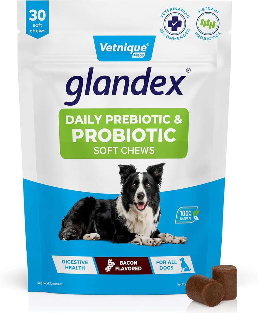 Vetnique Glandex Daily Probiootit koirille prebiootit tukemaan Gut Health kuitua ja digestiivinen Enzymes, Probiootti purukumia tai jauheita (30ct Chews, Bacon Chews)