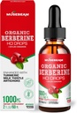 Berberina orgânica HCl 1000mg Drops líquidos - com Ceilão Canela Alcachofra de alcaçuz de leite - Suplemento de alta biodisponibilidade para homens mulheres - Vegan Açúcar Gluten Free 2fl. oz (60ml)