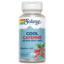 SOLARAY Cool Cayenne 40,000 Heat Units - Cayenne Pepper Supplement with Capsaicin for Women and Men - Digestion Aid - Bio-Cool Formula with Ginger - Lab Verified - 45 Servings, 90 VegCaps