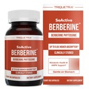 SoActive Berberine 550mg: 9.6X Higher Absorption, Clinically Studied, Optimized Phytosome | Supports Metabolism & AMPK Activation | Non-GMO, Soy-Free | Clinically Validated Dose | 60 Servings
