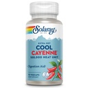 Solaray Extra Hot Cool Cayenne 100,000 Heat Units - Cayenne Pepper Capsules Supplement with Capsaicin for Women & Men, Bio-Cool Formula with Butcher's Broom & Ginger - 100 VegCaps