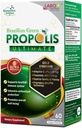 Labo Nutrition Brazilian Green Propolis Ultimate - Conține >7% sau 28 mg per Artepillin C & >5% Flavonoids, pentru Immune & Brain Support, Natural, High Concentrat & Premium, 60 Veg Capsule