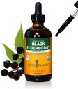Herb Pharm Certified Organic Black Elderberry Liquid Extract for Immuno System Support, Organic Cane Alcohol, 4 Ounce