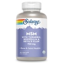 Solaray MSM Capsules, 750 mg, 180 Count