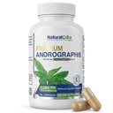 Natural Cure Labs Premium Andrographis Paniculata Extract 1,200mg – 100mg Standardized Andrographolides – Vegan Immune & Digestive Support Capsules – Non-GMO, Gluten-Free, Herbal Dietary Supplement