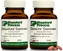 Standard Process Children's Wellness Chewable Bundle - Congaplex & Catalyn Supplement Kit - Immune & Cell Function Support Supplements - Nutritional Supplements for Overall Health