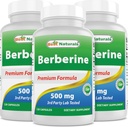 Best Naturals Berberine 500mg 120 Kapseln - Unterstützt Immunfunktion, Herz-Kreislauf- und Gastrointestinalfunktion (120 Zähler (Pack von 3))