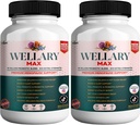 Wellary Max Menopause supplemento di supporto, 40 miliardi di CFU miscela probiotica, 90 capsule (2)