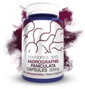 Andrographis paniculata Capsules | 200mg | 60 Count | 50% Andrographolides | Supports Immune Function | Supports Cellular Function