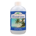 Eidon Liquid Boron Drops - Ionic Mineral Boron Supplement, Essential Element to Support Brain Health, Bioavailable, No Preservatives or Additives - 18 oz